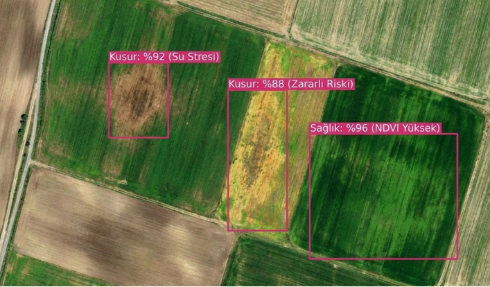 Tarım sektörü görüntü işleme